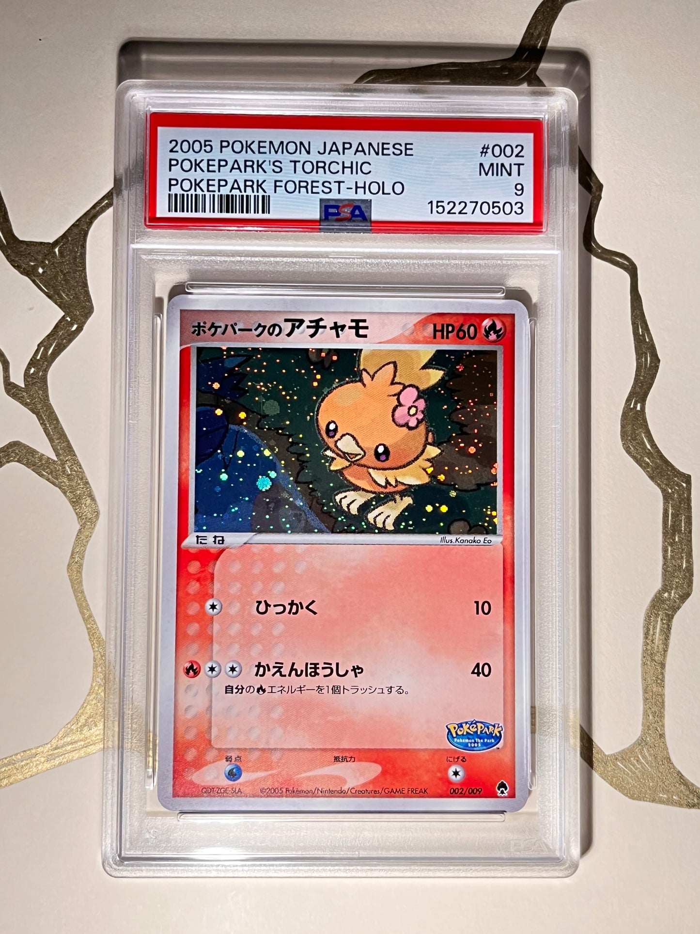 Torchic Holo PokePark Forest 002/009 — carte Pokémon japonaise gradée PSA 9