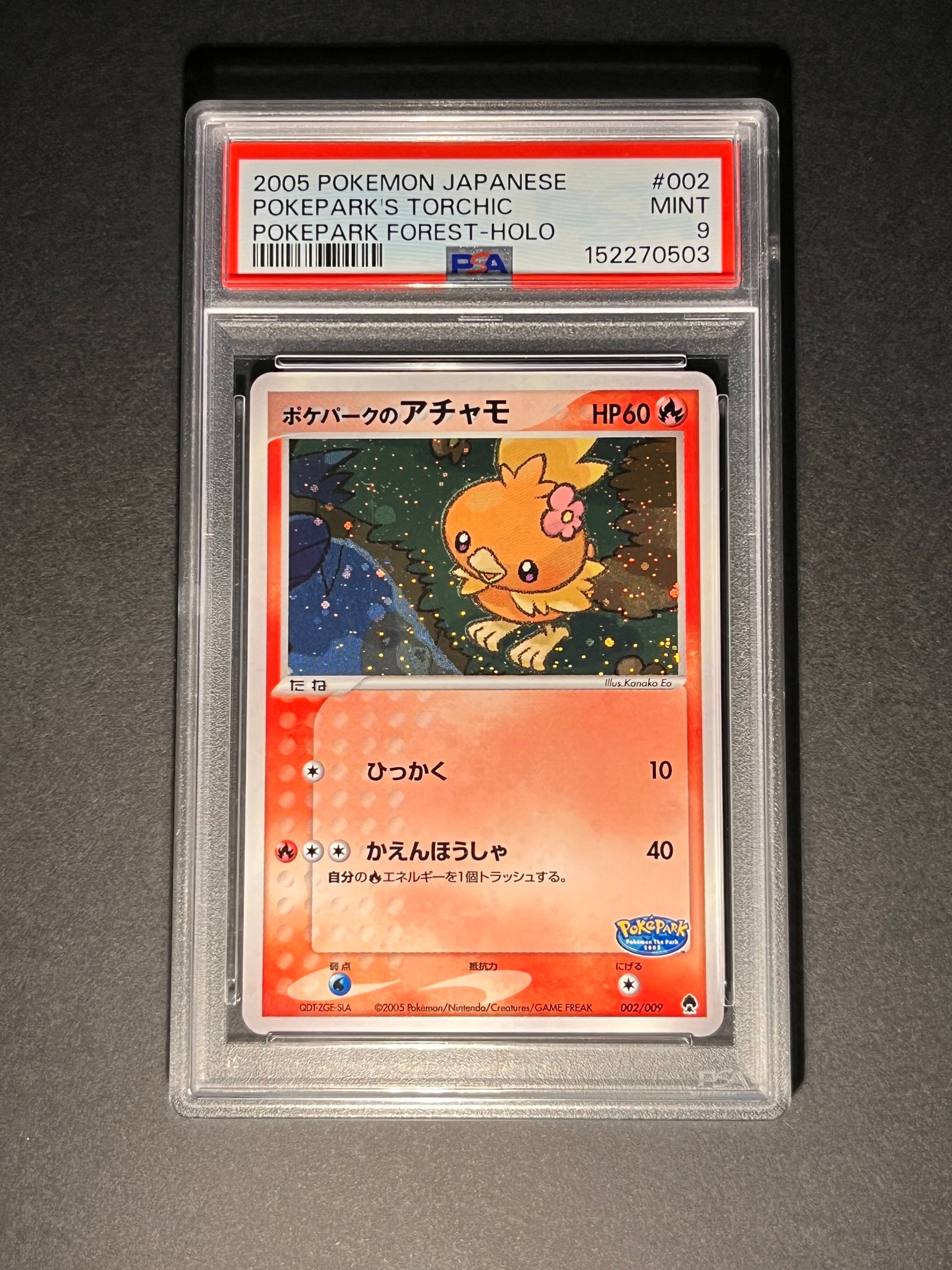 Torchic Holo PokePark Forest 002/009 — carte gradée PSA 9 (verso)