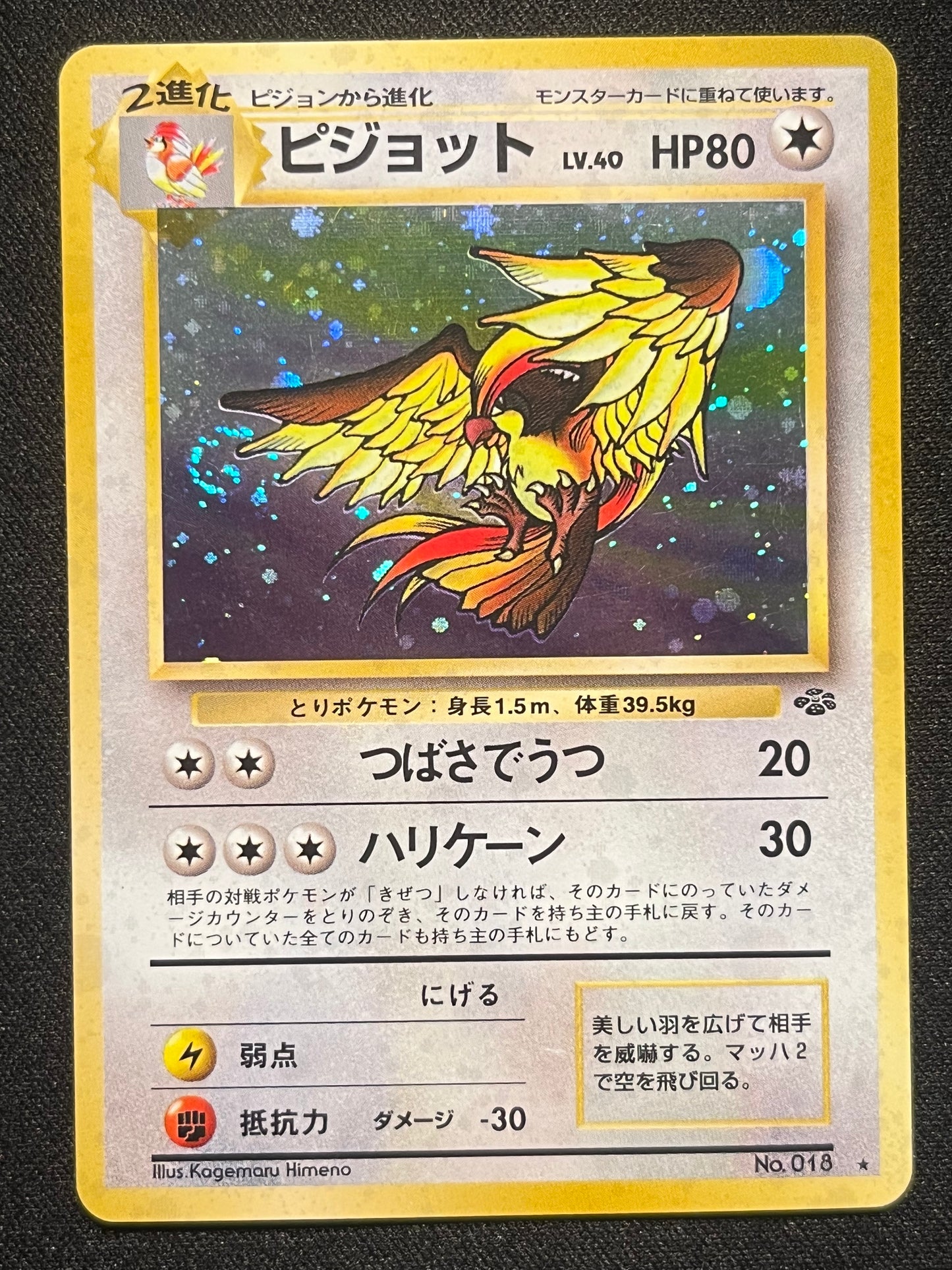 Pidgeot Holo - No. 018 Jungle