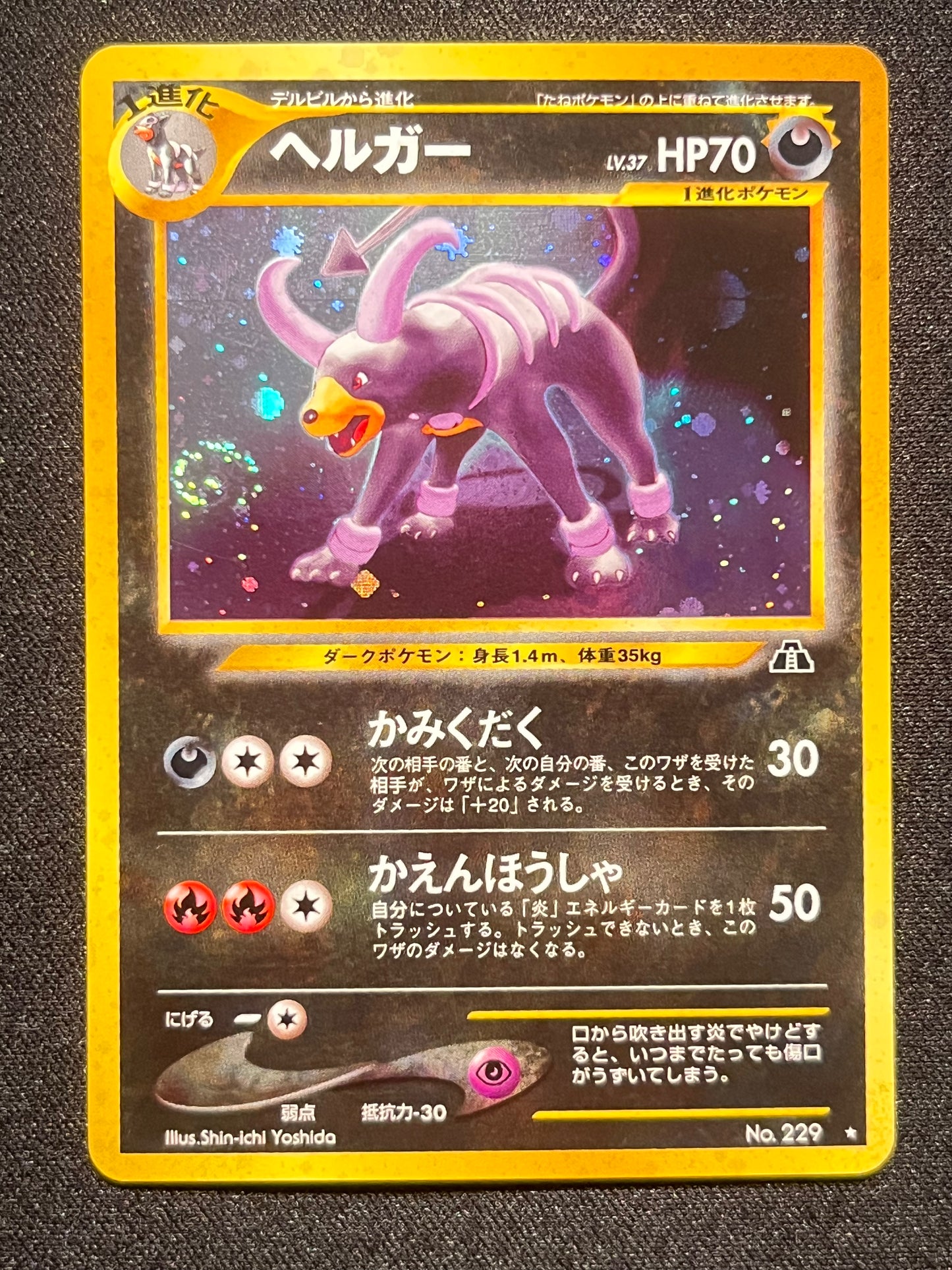 Houndoom Holo - No. 229 Neo2