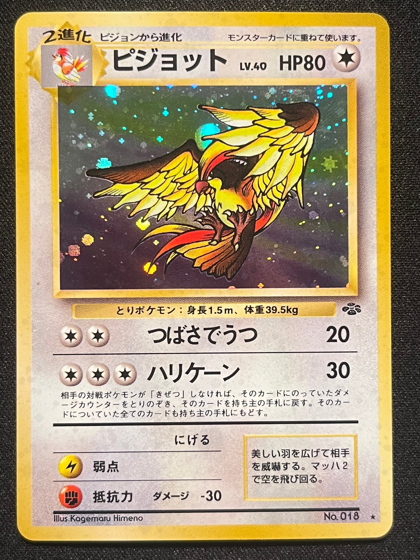 Pidgeot Holo - No. 018 Jungle